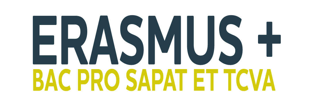 ERASMUS